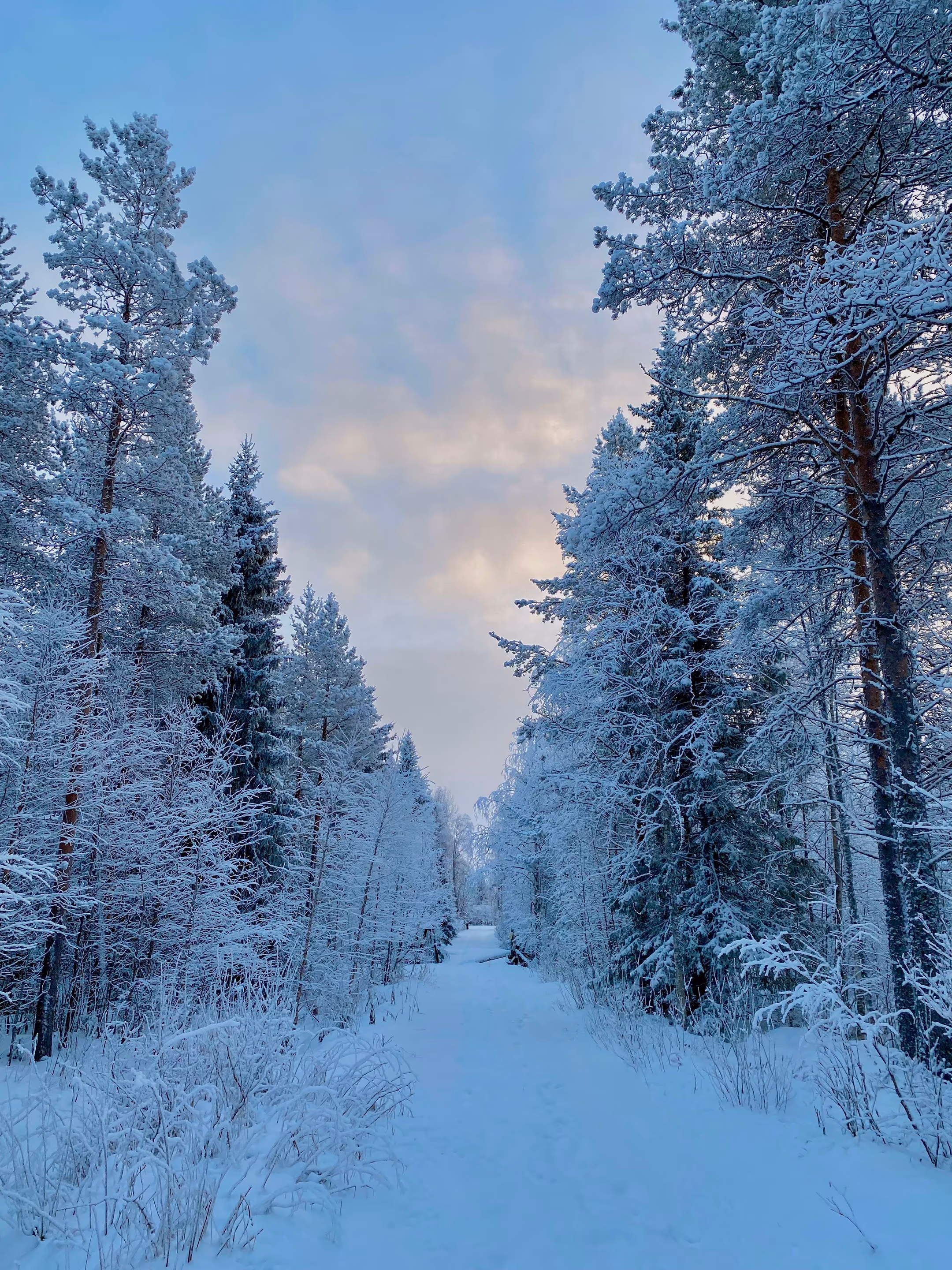 Finnish Lapland travel photograph 1 of 13 — by Isaak De Coninck (2025)