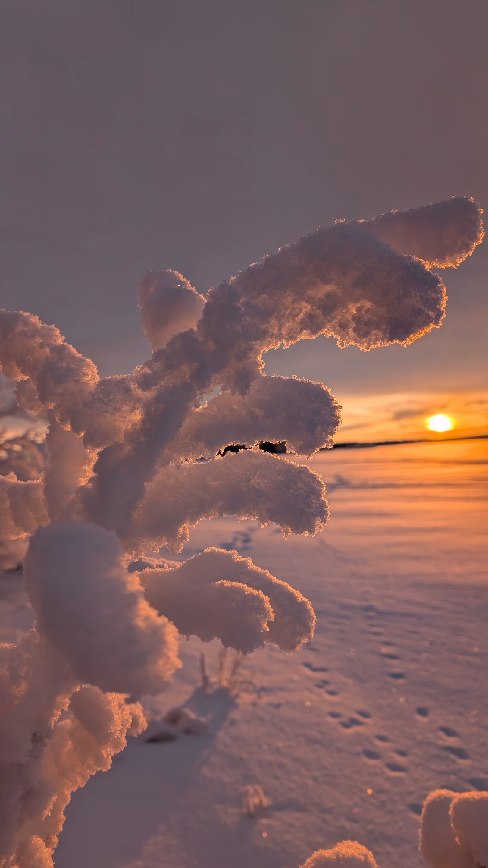 Finnish Lapland travel photograph 7 of 13 — by Isaak De Coninck (2025)