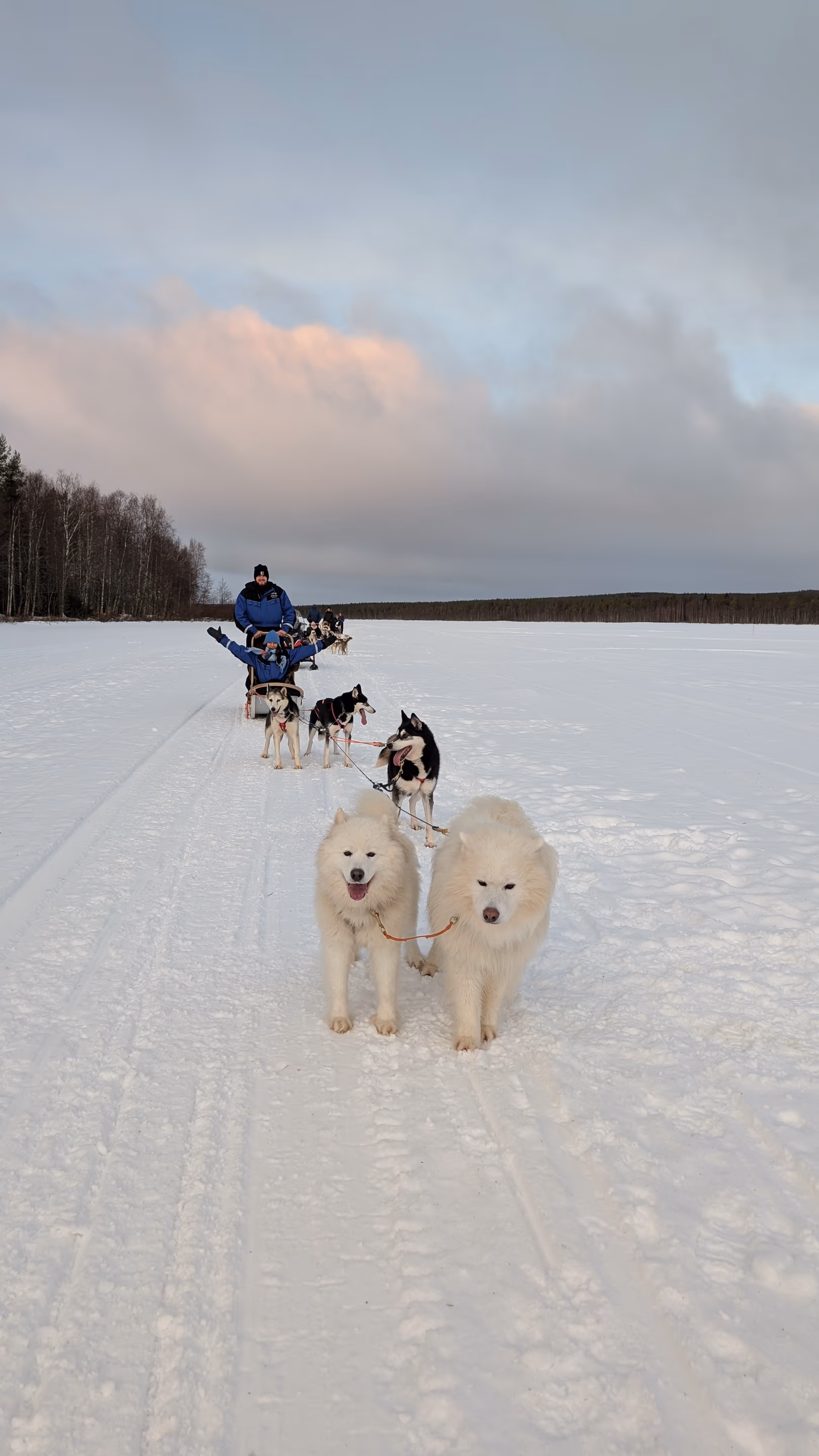 Finnish Lapland travel photograph 11 of 13 — by Isaak De Coninck (2025)
