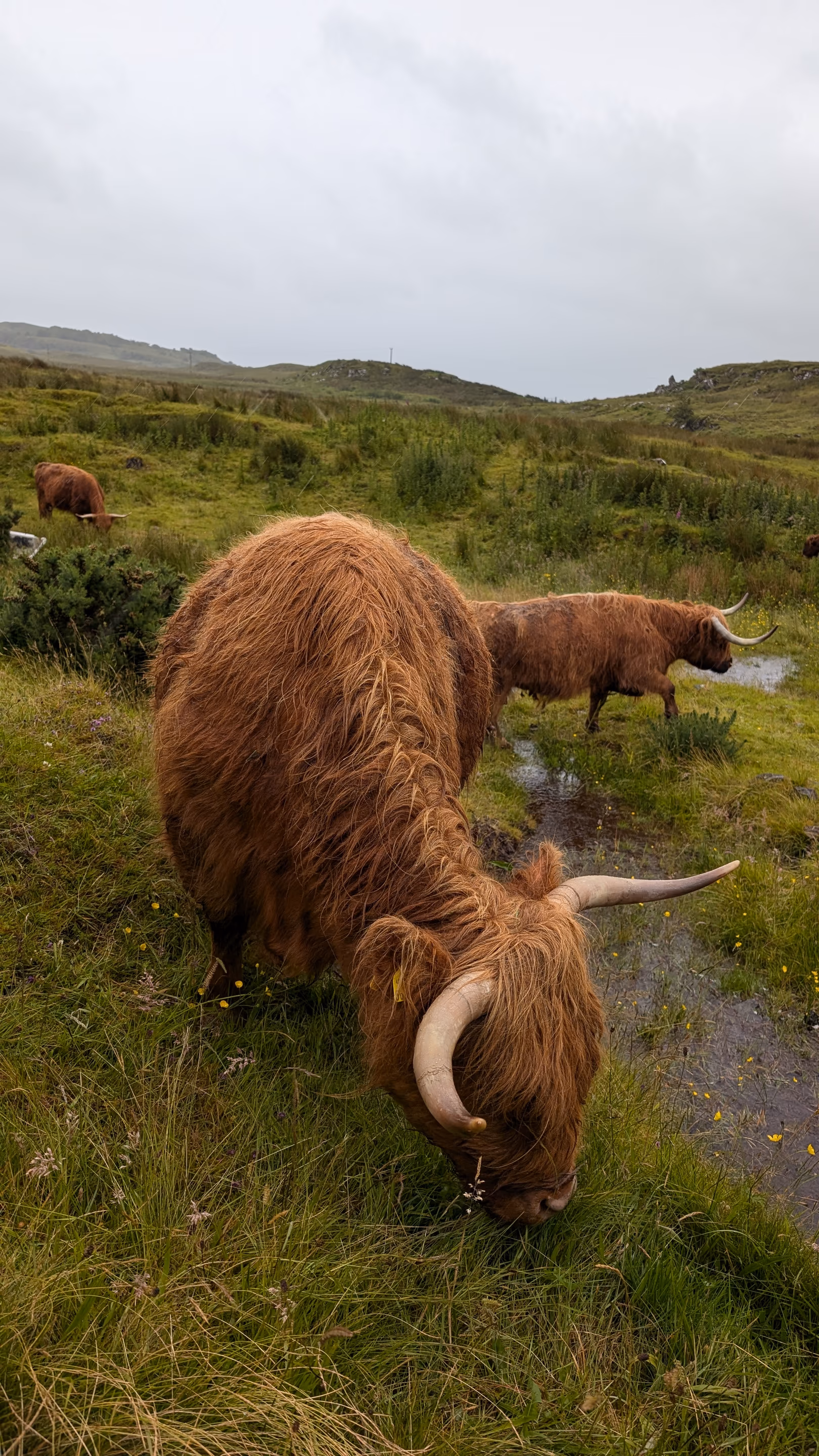 Scotland travel photograph 9 of 15 — by Isaak De Coninck (2024)