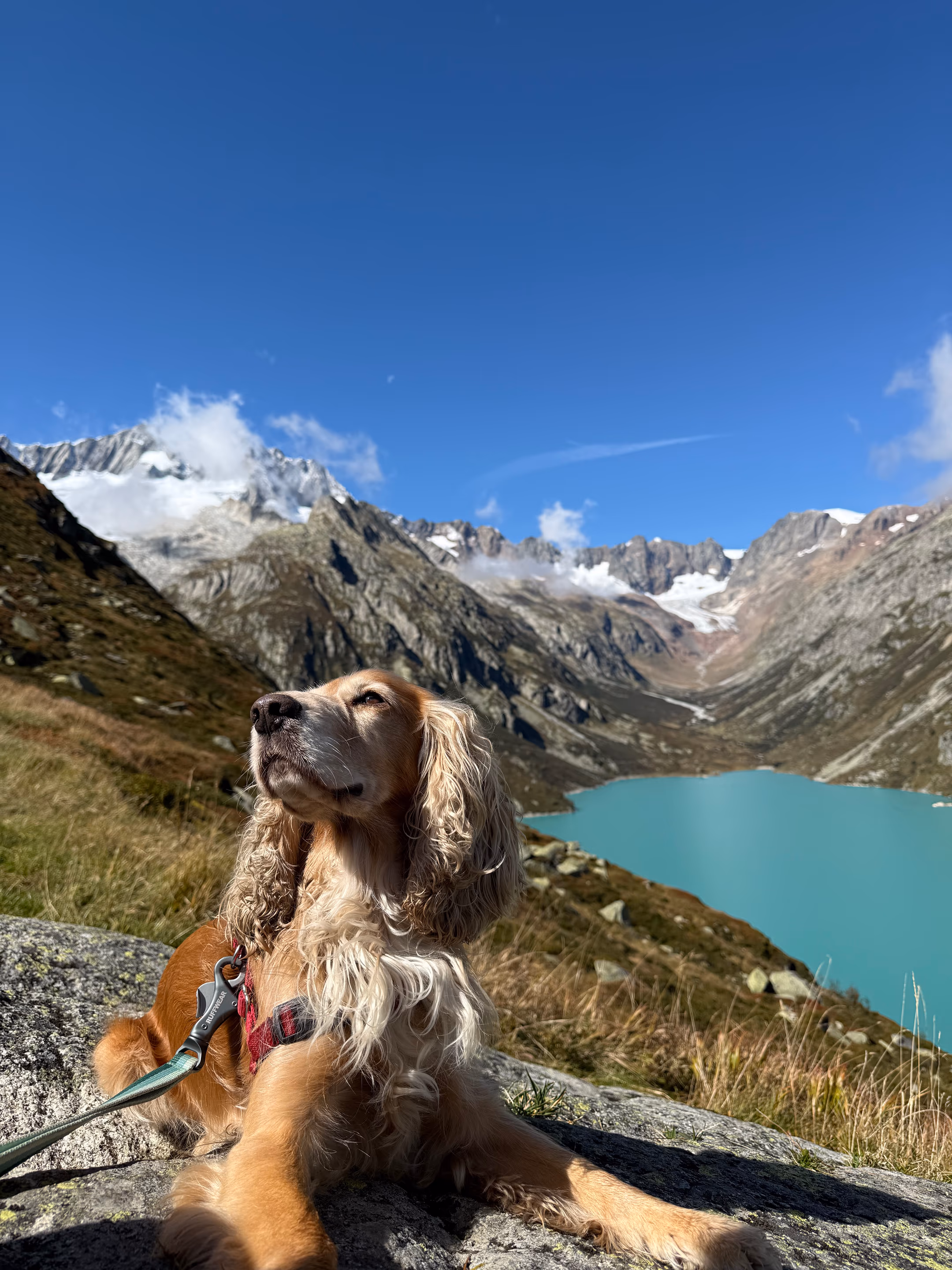 Swiss and Italian Alps travel photograph 5 of 17 — by Isaak De Coninck (2025)