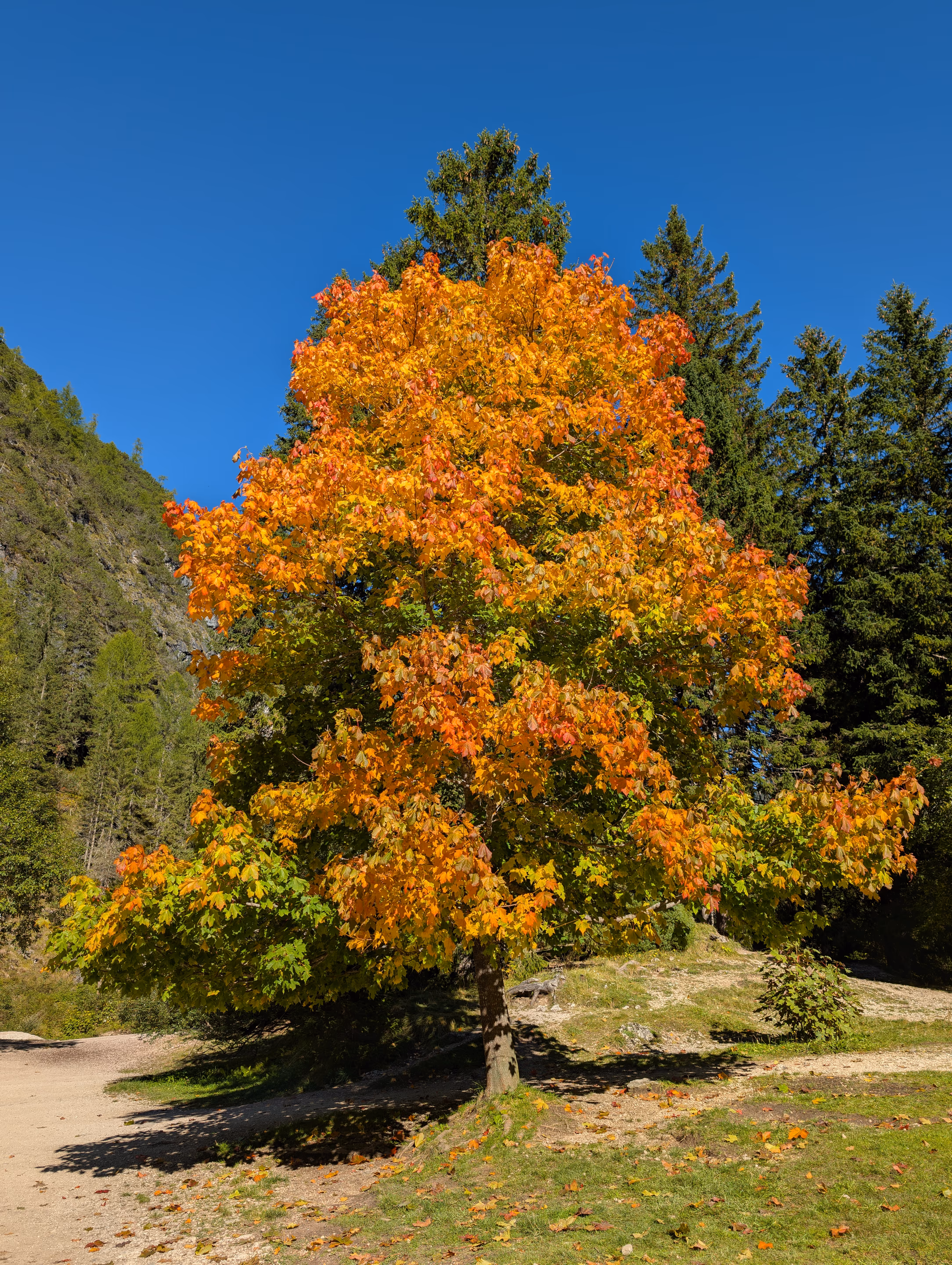 Swiss and Italian Alps travel photograph 14 of 17 — by Isaak De Coninck (2025)